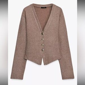 Brown Button-Up Cardigan